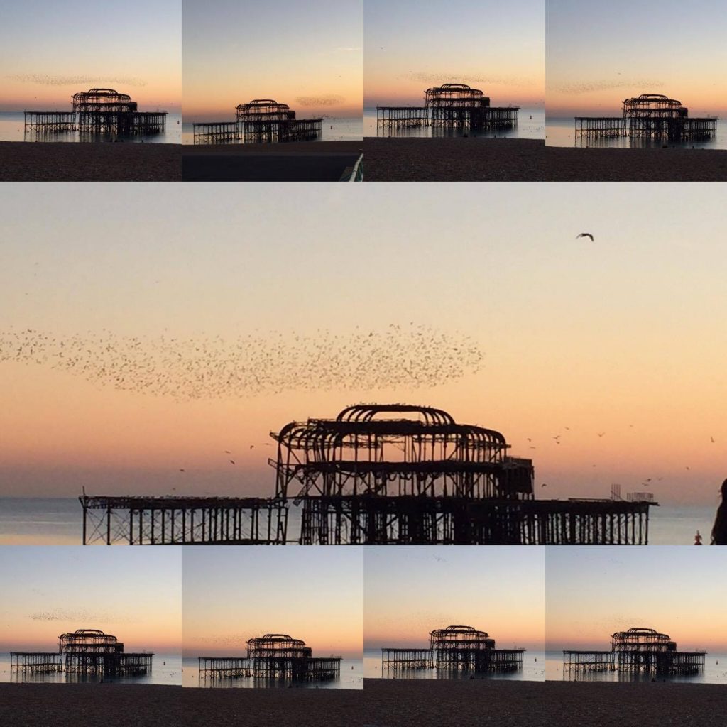 Starlings murmuration on the West Pier Brighton