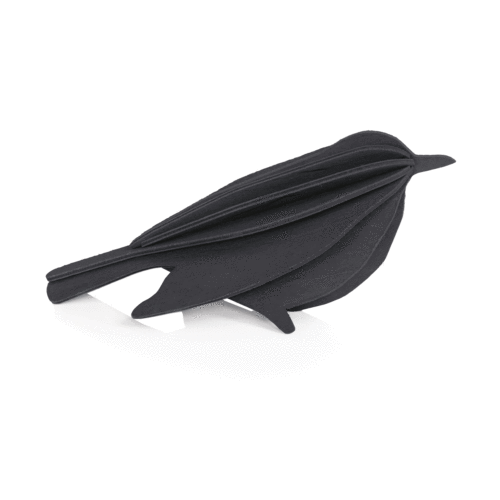 Lovi Black bird