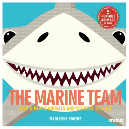 the marine team activity book by Mibo