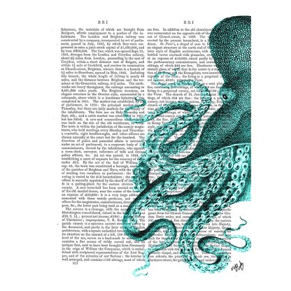 antiquarian book prints octopus by Fab Funky