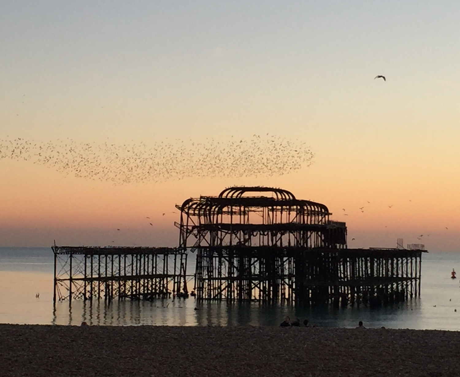 Starlings Murmuration on Brighton West Pier