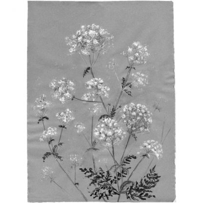 cow parsley card by artists on cards