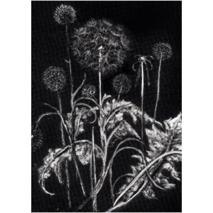 dandelions card by artists on cards