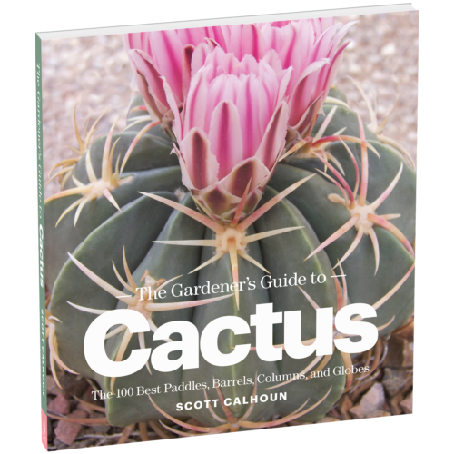 Gardeners guide to cactus book