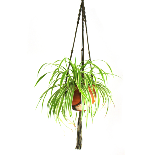 reycled macrame plant hanger army green by knotty