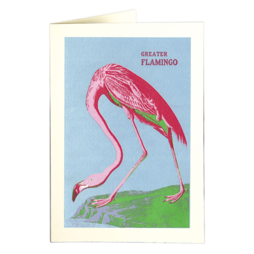 greater flamingo card by the archivist gallery