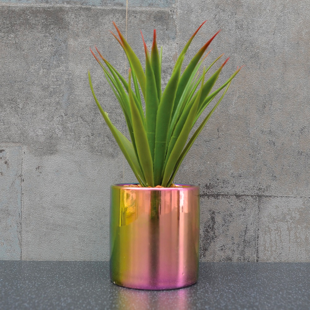 iridescent pot with aloe vera