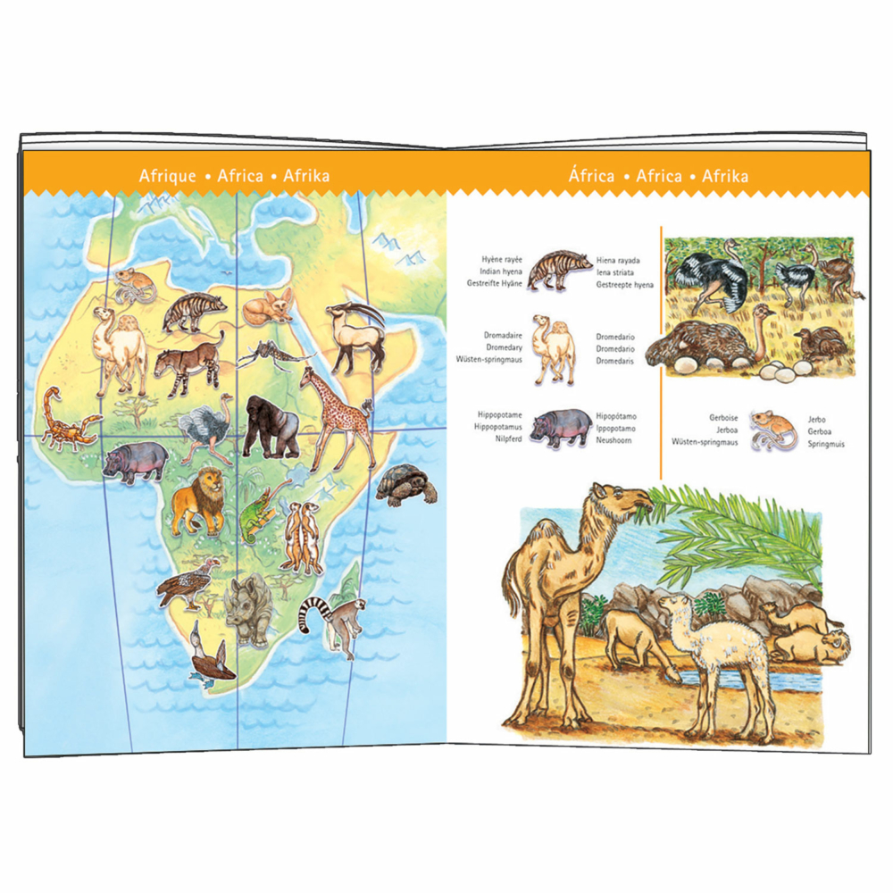 world's animals observation puzzle booklet by djeco