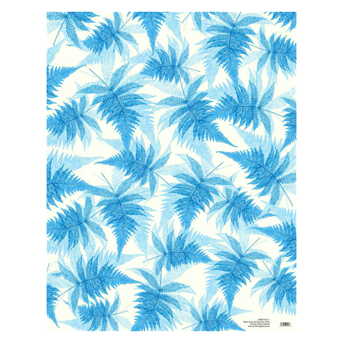blue fern wrapping paper by the archivist gallery