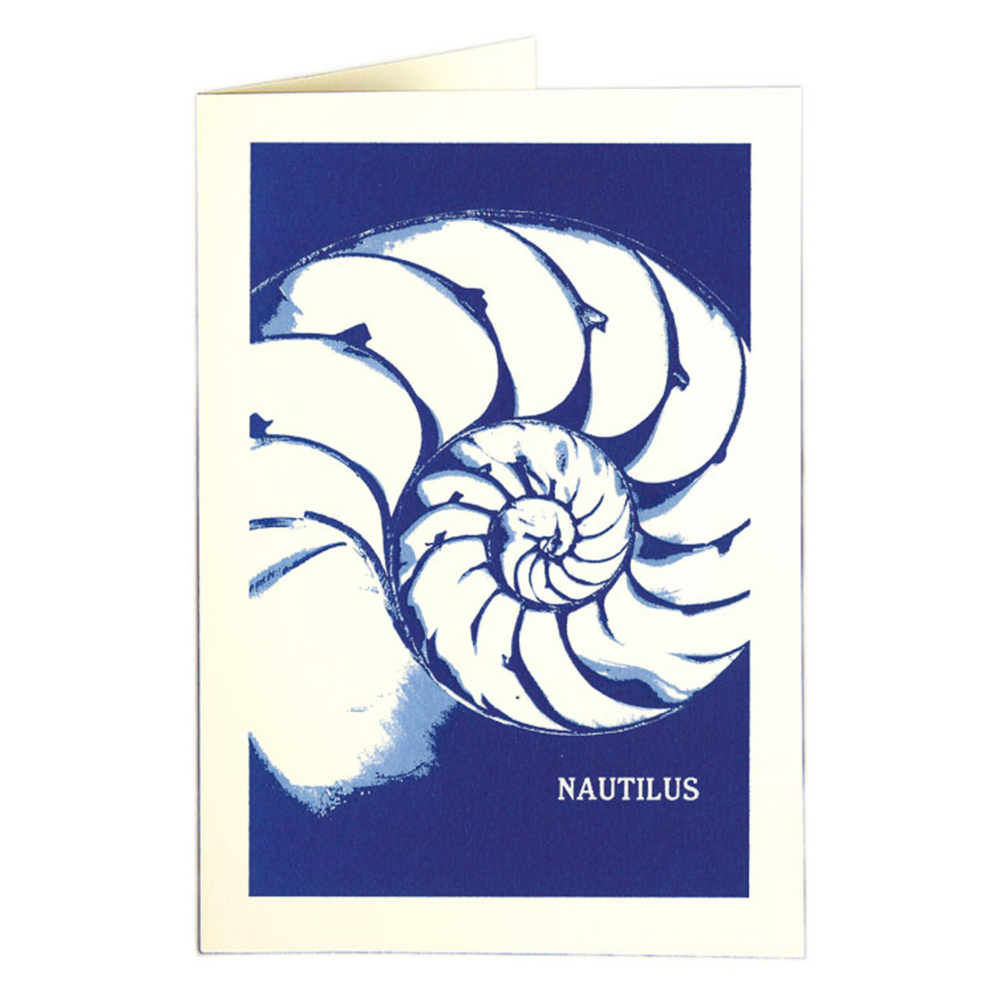 nautilus card by the archivist gallery