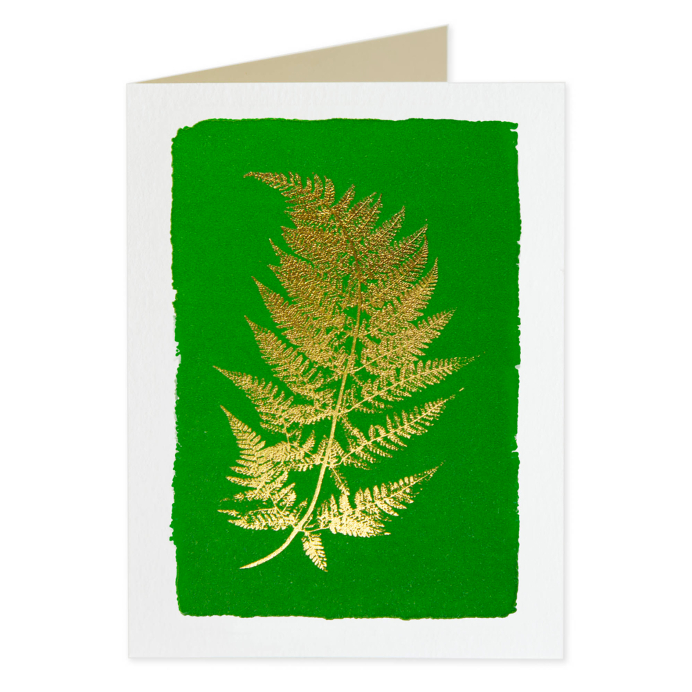 pack of 5 fern cards by the archivist gallery
