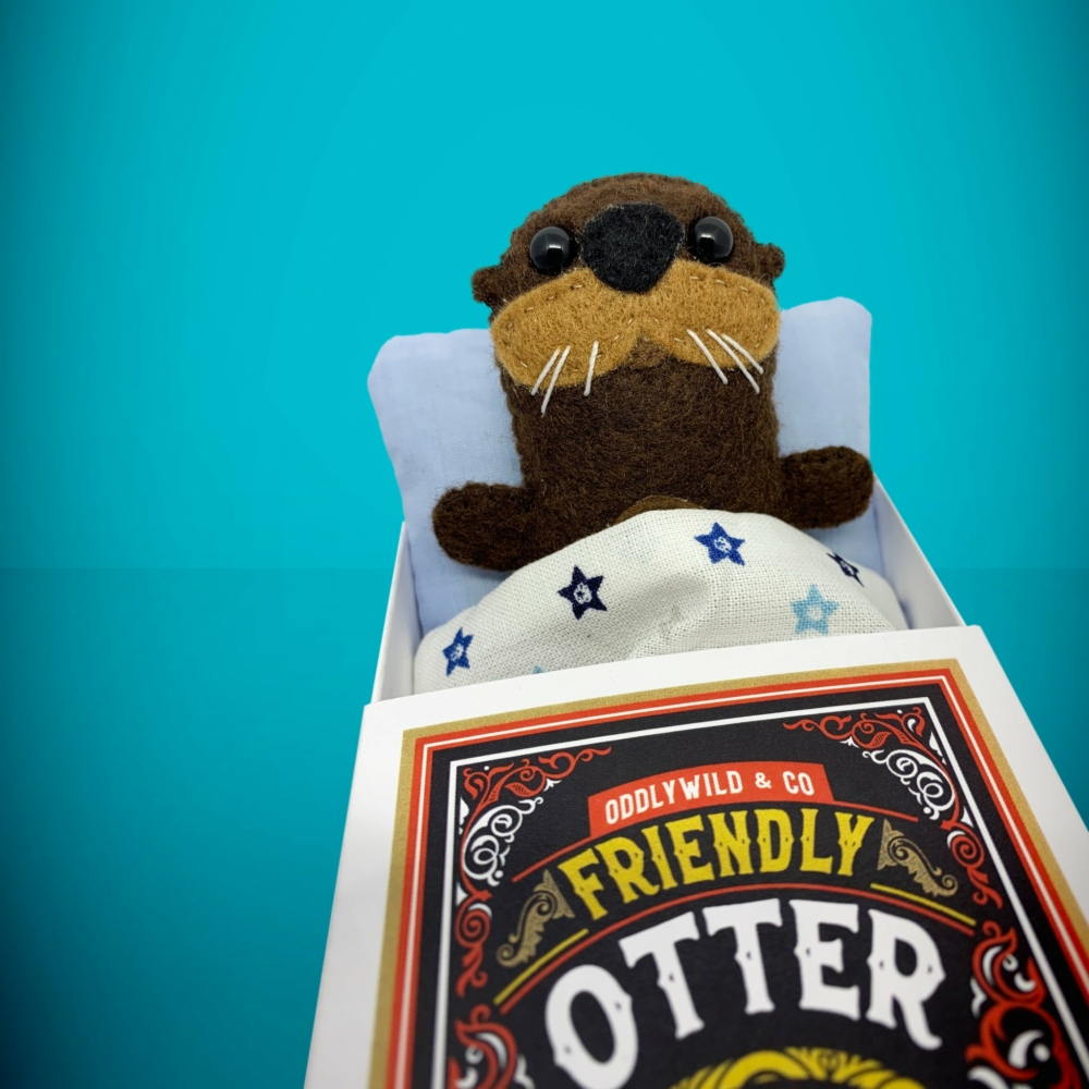 ozzy otter in bed in a matchbox by Oddlywild
