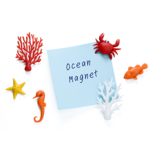 ocean ecology magnets by qualy