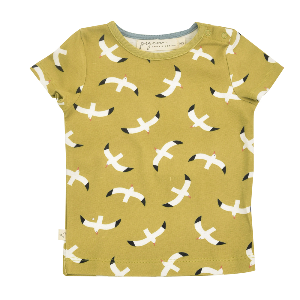 Short Sleeves T-Shirt Seagulls celery by Pigeon Organics SS21