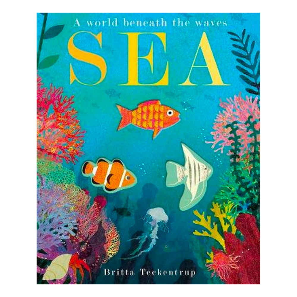sea a world beneath the waves board book