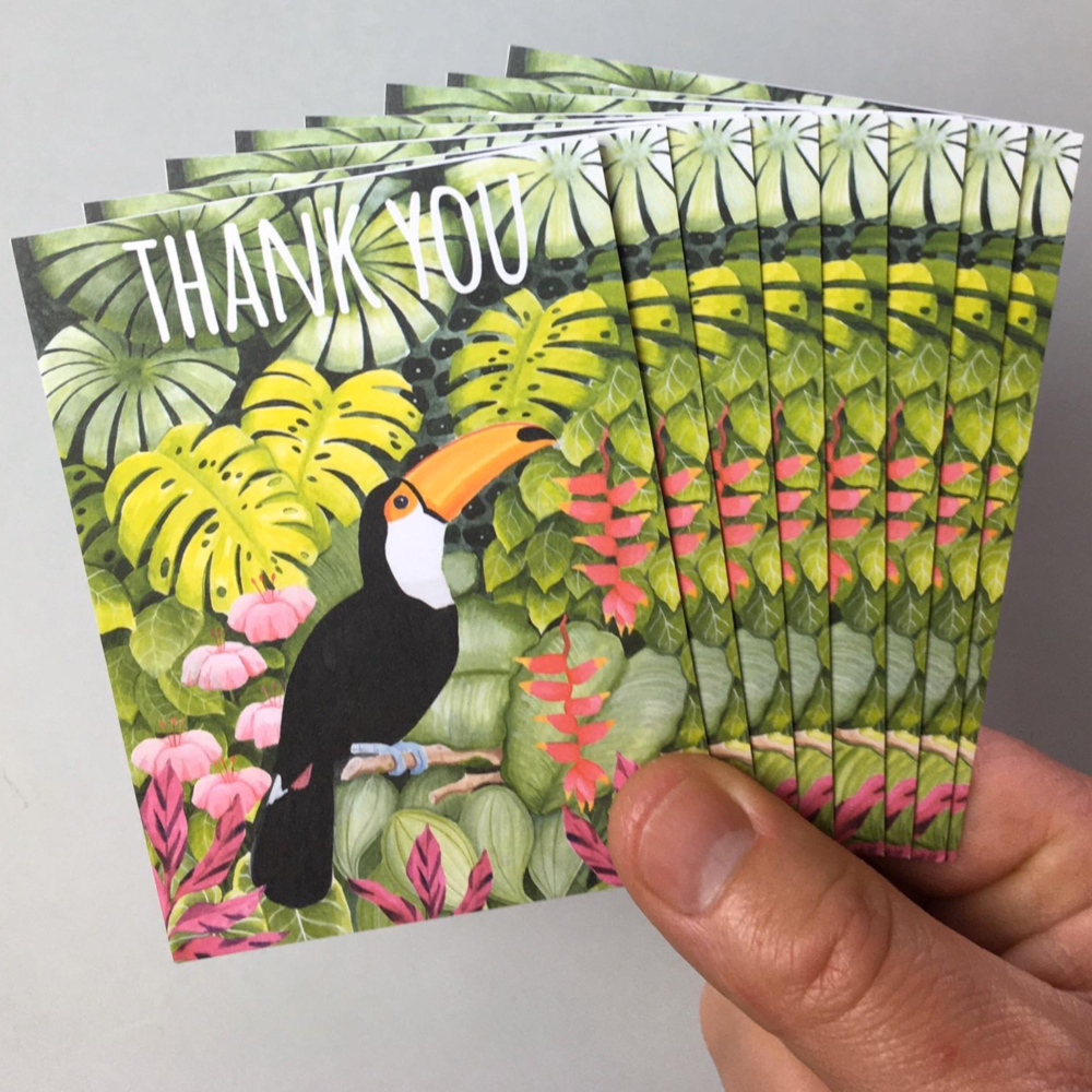 pack of 8 thank you cards toucan by earlybird