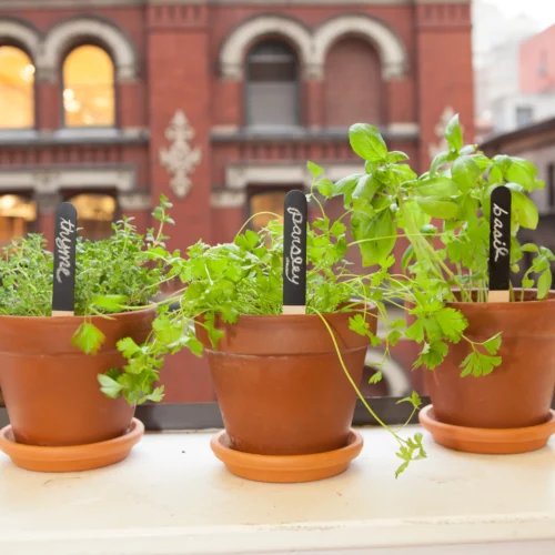 reusable garden markers by kikkerland