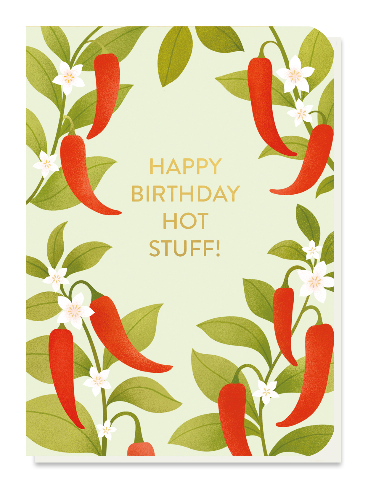 chilli plants card with capsicum chilli seed sticks by stormy knight