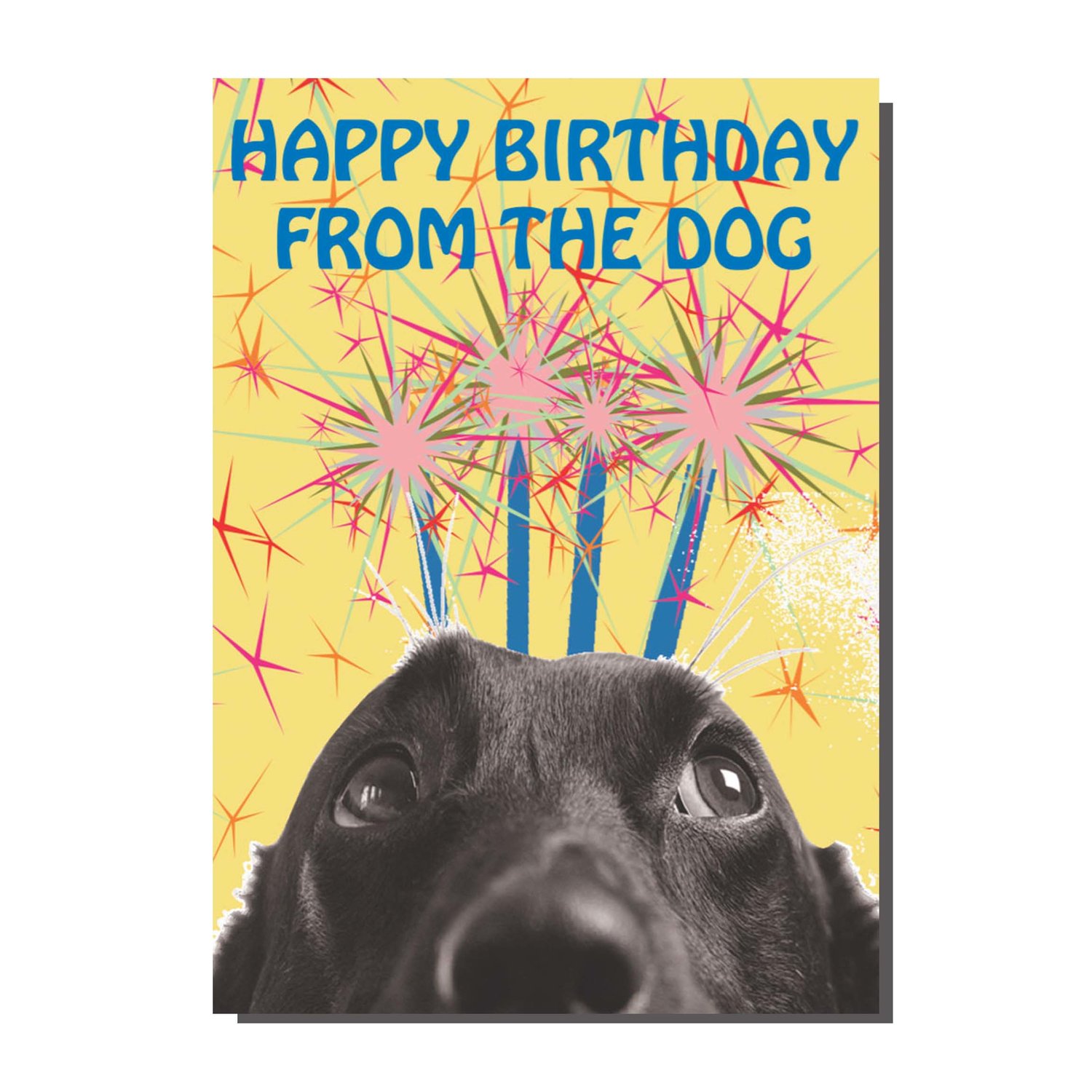 happy birthday from the dog card by bite your granny