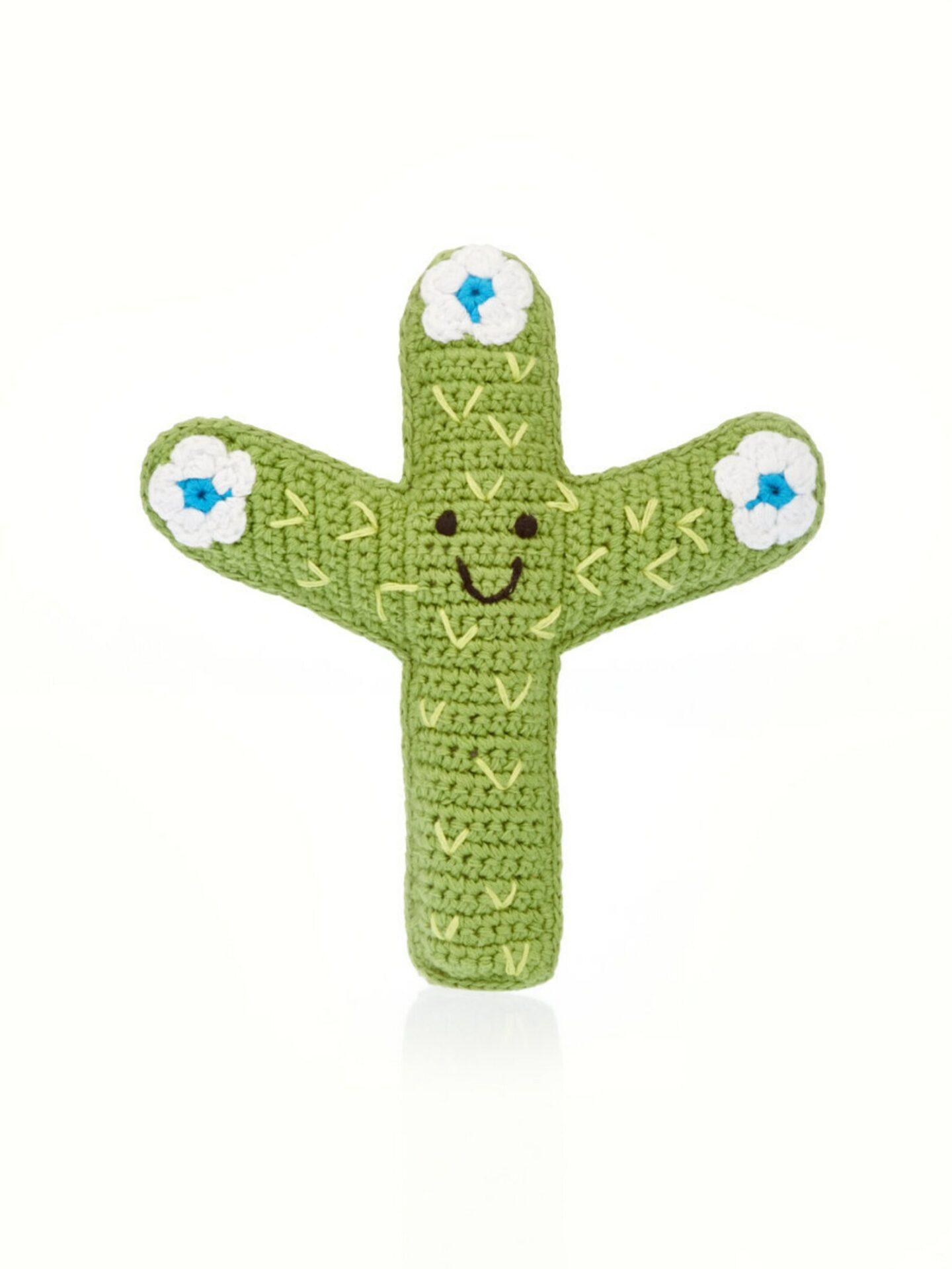cactus rattle by pebblechild