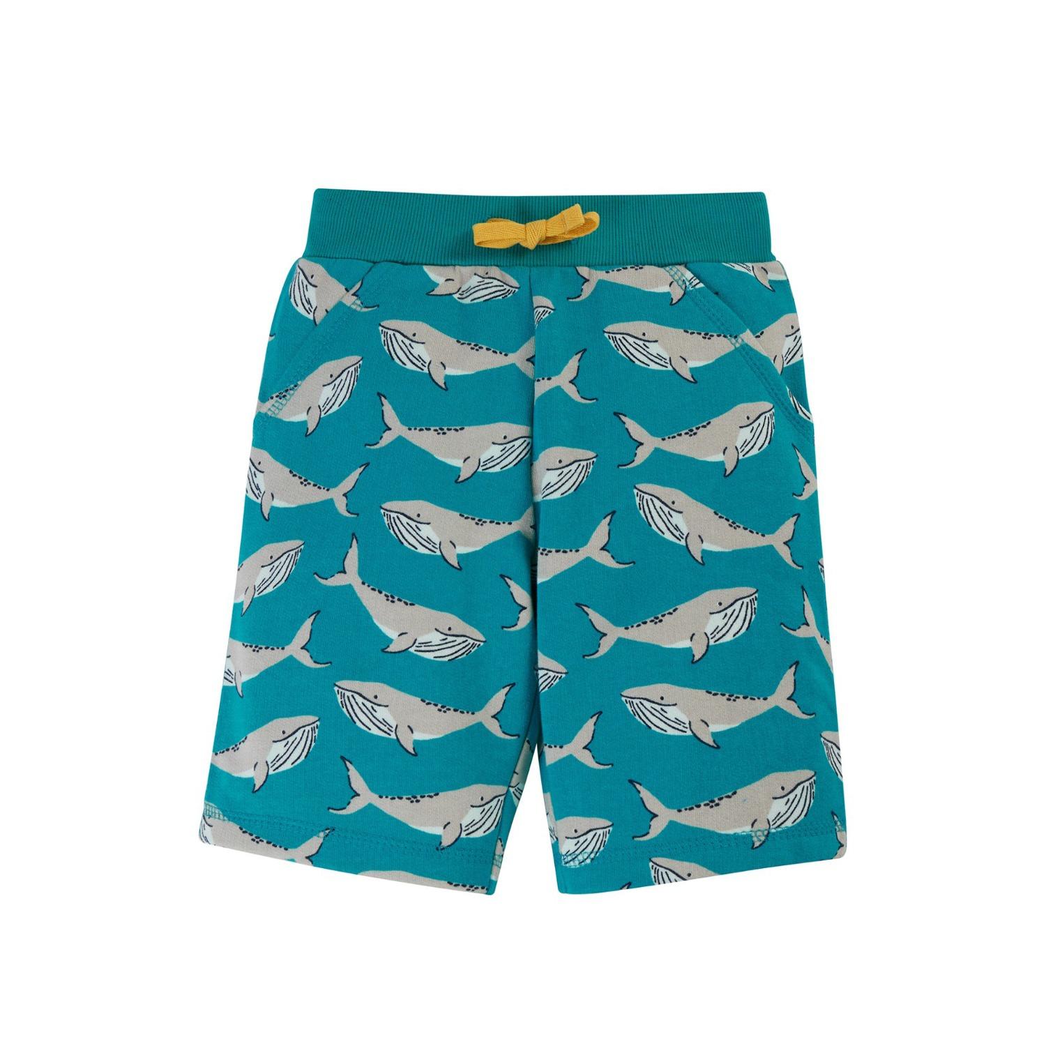 samson printed shorts camper whales