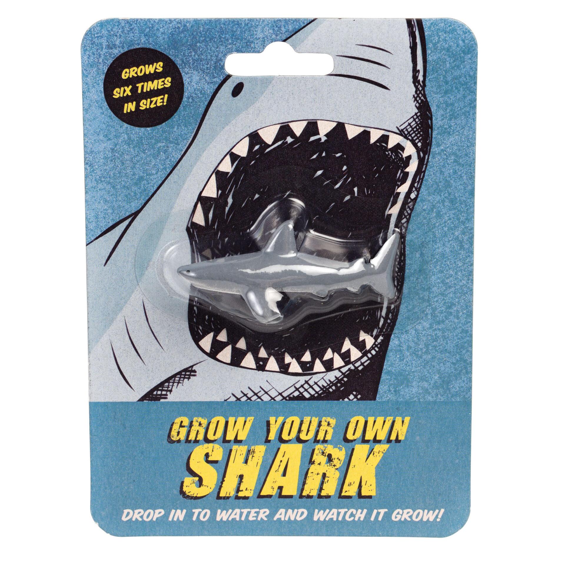 Grow your own shark by rex london