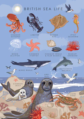 British sealife card by heart of a garden