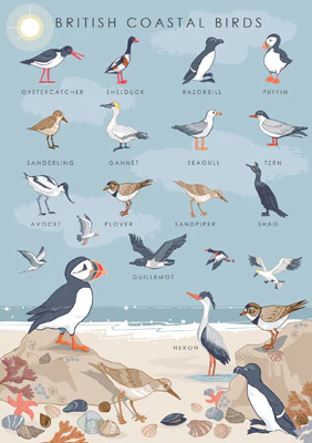 coastal birds card by heart of a garden