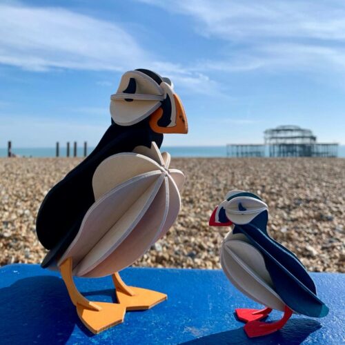 Lovi Puffin family on Brighton beach in front of the West Pier