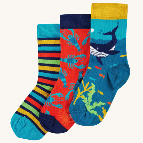 Rock My Socks deepwater 3 pack by frugi ss24