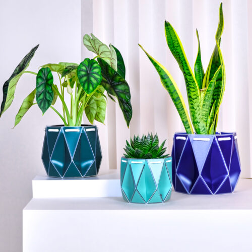 Potr self watering plant pot range