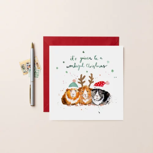 three christmas guinea pigs card by Louise Mulgrew