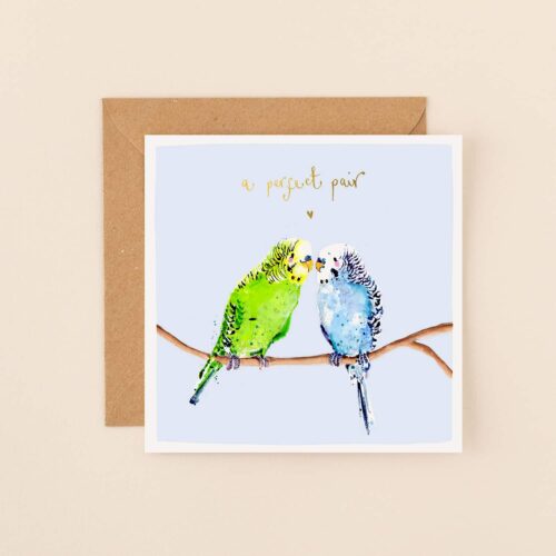 Budgies a perfect pair card by louise mu;grew