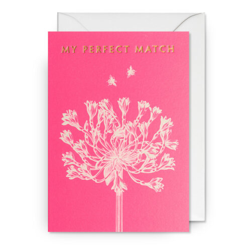 My perfect match card illustrated by Kew Gardens for Lagom Design.