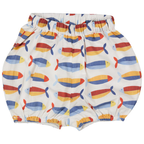 Bloomers sardines by pigeon organics SS25