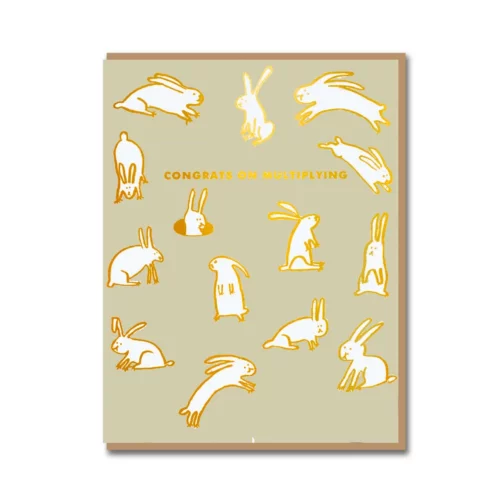 baby rabbits multiplying card by 1973